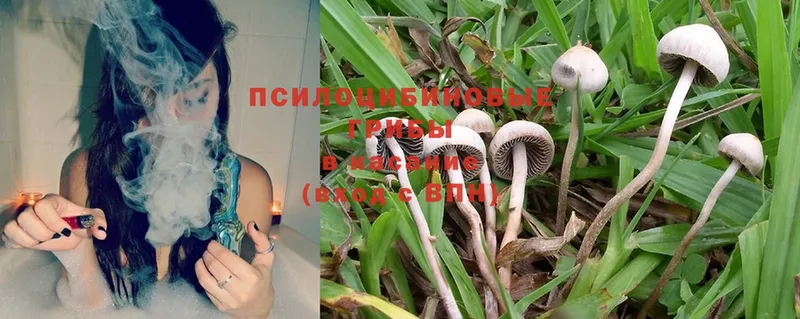 Галлюциногенные грибы Magic Shrooms Беслан